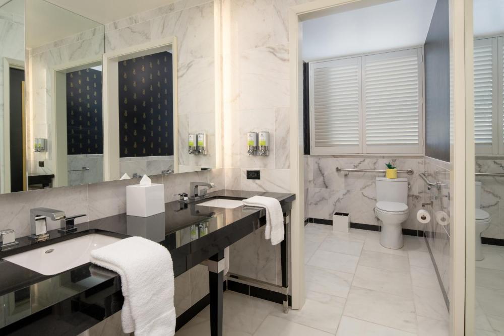 Starlet Queen Mobility Accessible w/Roll-in Shower & Comm. Features interior